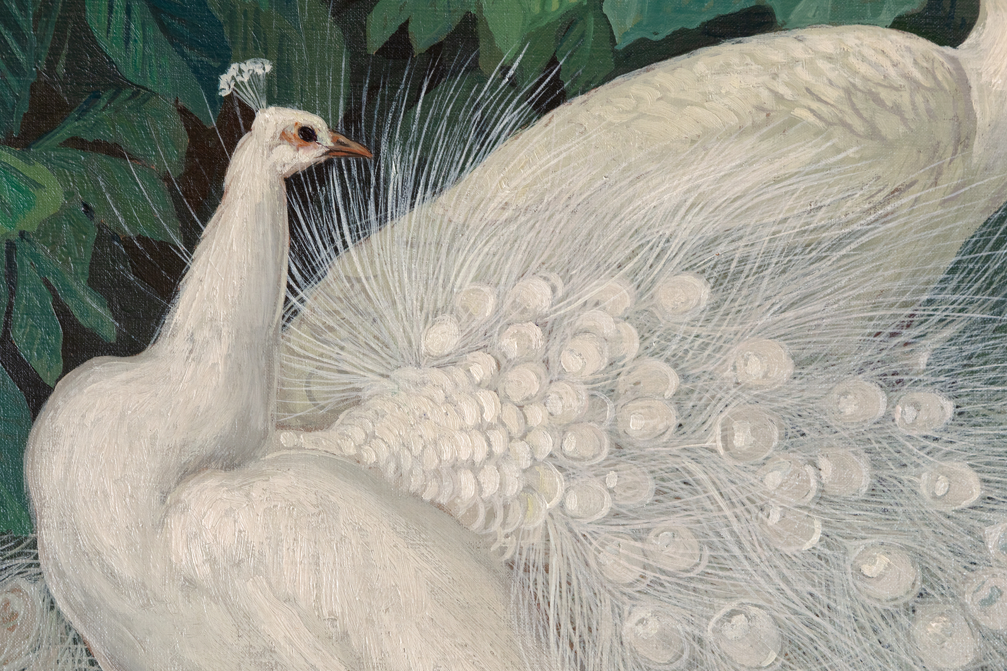 JESSIE ARMS BOTKE - Two White Peacocks - oil on board - 29 1/4 x 24 1/2 in.