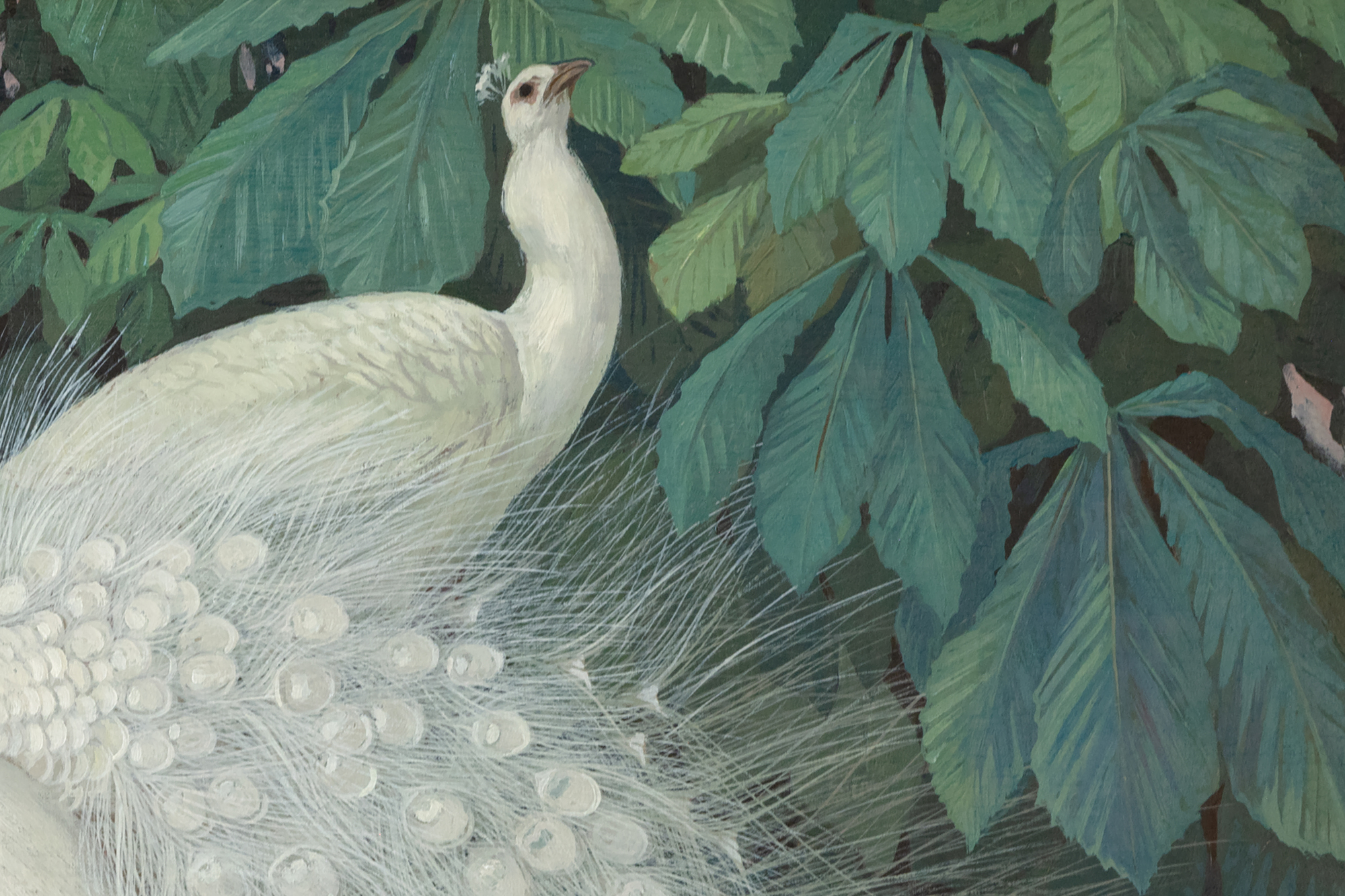 JESSIE ARMS BOTKE - Two White Peacocks - oil on board - 29 1/4 x 24 1/2 in.