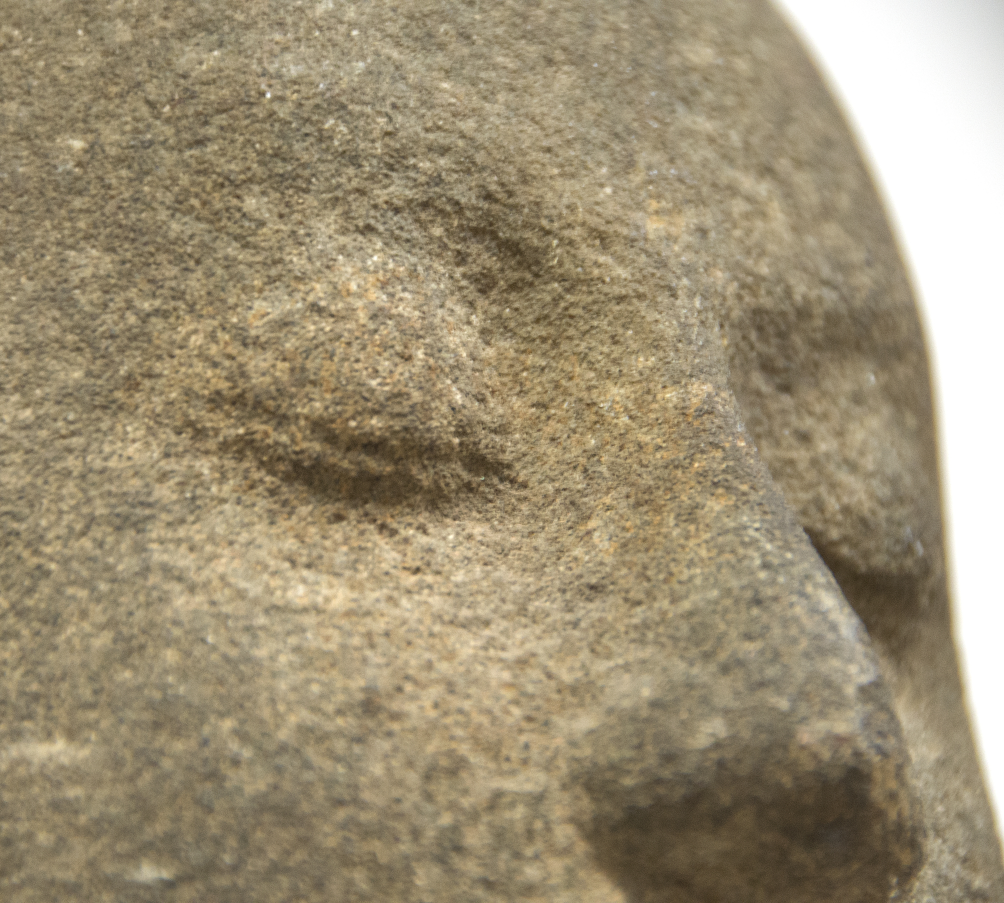 KHMER - Head of Avalokiteshvara - gray sandstone - 13 x 7 x 7 in.