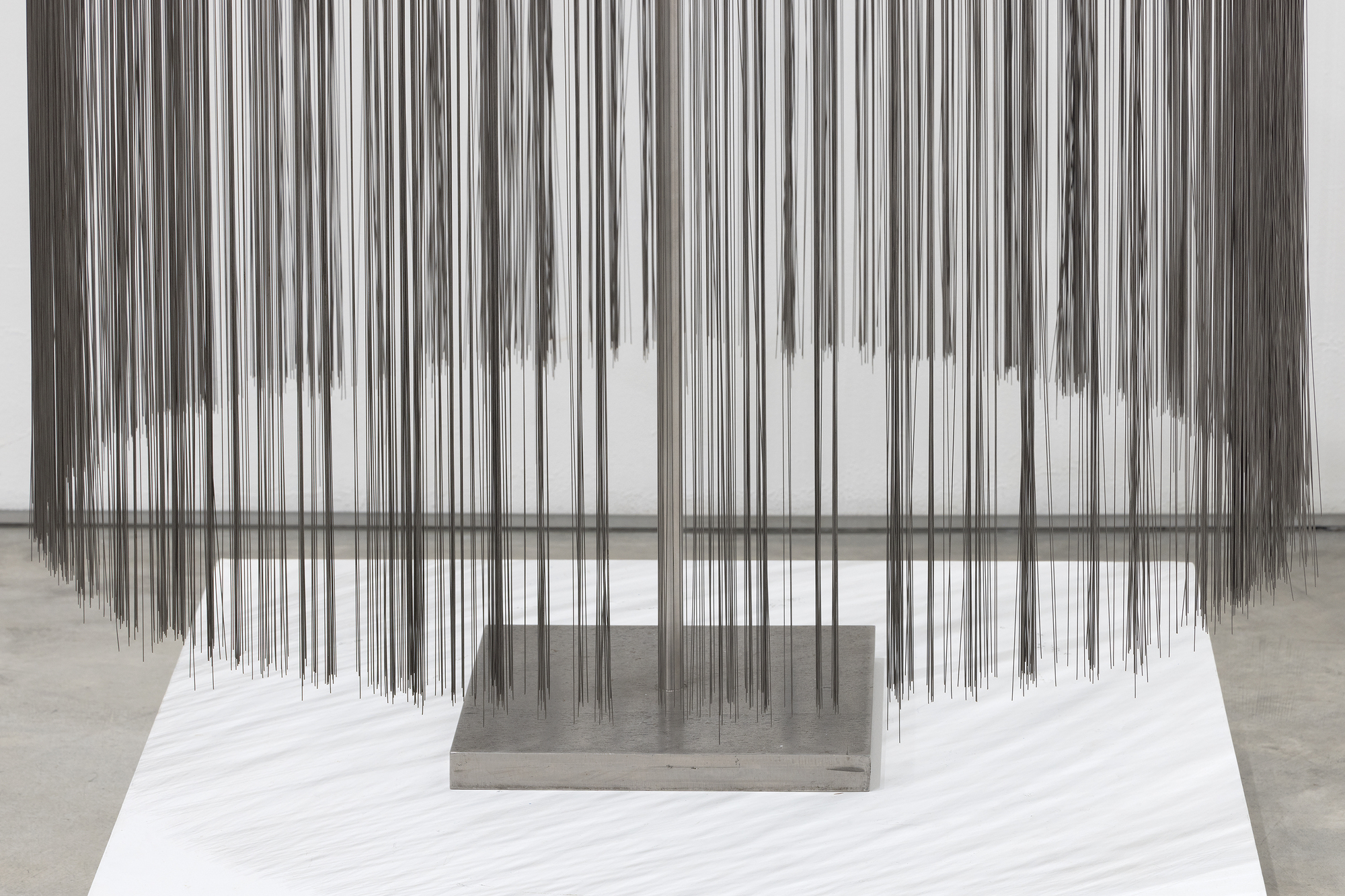 <div><font face=Lato size=3 color=black>In Harry Bertoia's oeuvre, "<em>Willow</em>" stands apart as an extraordinary synthesis of natural inspiration and innovative metalwork. Its cascading strands of stainless-steel capture the weeping elegance of a willow tree's drooping branches while introducing a dynamic, interactive quality through its shimmering surface and subtle responsiveness to movement. The strands—whether referred to as "tinsels," "filaments," or "tendrils"—reflect the delicacy of natural forms, blending artistry with technical mastery.</font></div>
<br>
<br><div><font face=Lato size=3> </font></div>
<br>
<br><div><font face=Lato size=3 color=black>Bertoia, a visionary sculptor with an unparalleled ability to transform industrial materials into organic beauty, likely employed meticulous processes to create "<em>Willow,</em>" cutting thin sheets of stainless steel into fine strips and expertly attaching them to a central core, positioning each strand to flow like water or sway like leaves in the breeze. The tactile quality of the strands, which respond to air currents or touch, invites the viewer into a contemplative engagement with the work, much like one might feel beneath the canopy of a willow tree.</font></div>
<br>
<br><div><font face=Lato size=3> </font></div>
<br>
<br><div><font face=Lato size=3 color=black>This piece epitomizes Bertoia's lifelong fascination with nature, stemming from his early years in the rural village of San Lorenzo, Italy. His sensitivity to the organic world continually informed his artistic practice, from his celebrated Sonambient sound sculptures to creations like “<em>Willow</em>, “which reimagine the relationship between form and environment. As he once said, "I no longer hold onto terms like music and sculpture. Those old distinctions have lost all their meaning."</font></div>
<br>
<br><div><font face=Lato size=3> </font></div>
<br>
<br><div><font face=Lato size=3 color=black>Once again , Bertoia captivates us by reaching beyond the traditional boundaries of sculpture, delivering a work that is as much a sensory experience as a visual one. It is a harmonious blend of natural inspiration and innovative artistry, a reminder of the sacred beauty found in the intersection of art and the natural world.</font></div>