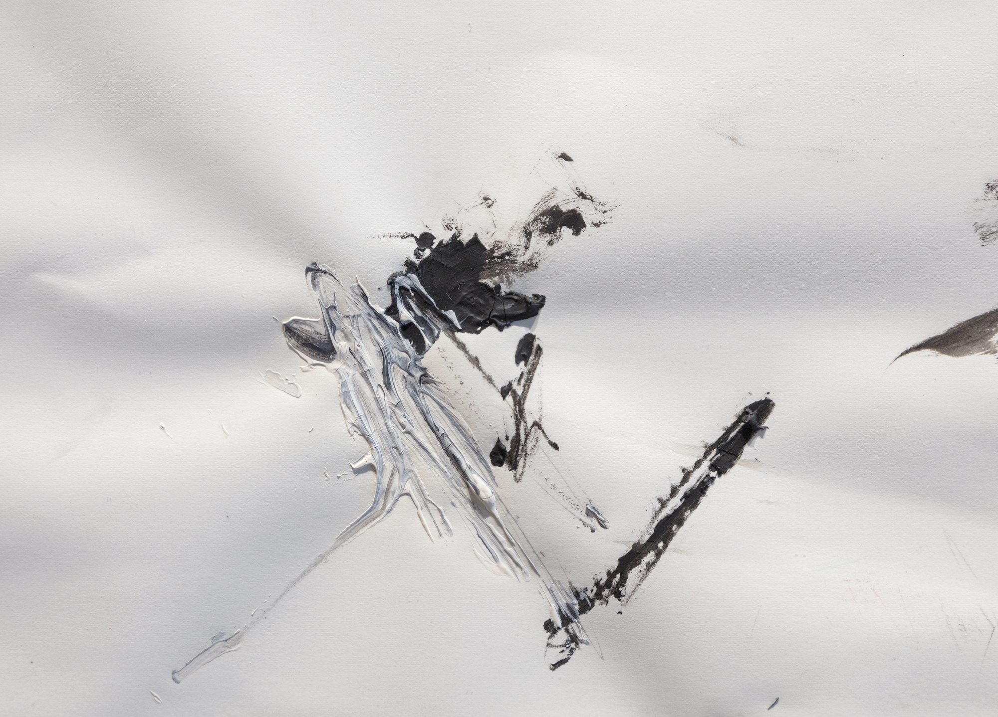 JEAN-MICHEL BASQUIAT - 《无题（鸽子解剖）》 - 油画、石墨和粉笔在纸上 - 22 x 30 英寸。